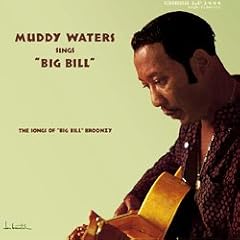 Sings Big Bill Broonzy [Vinyl LP]