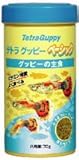テトラ グッピー ベーシック 70g