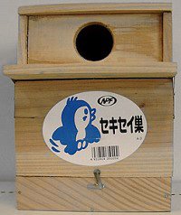 セキセイ巣