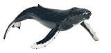 Monterey Bay Collection- Humpback Whale
