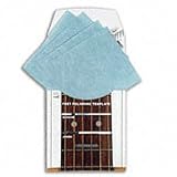 Fret Polishing System
