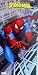 Marvel Spiderman-Beach / Bath Towel 30in x 60in