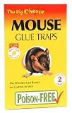 Mouse Glue Traps Twin Pack Kitchen & Housewares