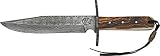 Colt Damascus Hunter Fixed Blade Knife, 7.375in, Damascus Steel Blade, Genuine Stag Handle CT278