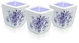 Lavender by Woods of Windsor