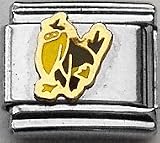Clearly Charming Crow Animal Theme Birds Italian Charm Link Bracelet