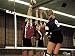 Volleyball-Turniernetz DVV I