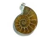 PA0943B Madagascar Ammonite Fossil Crystal Pendant