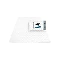 Carolina Panthers Sheet Set- Twin