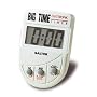 Salter Big Time Electronic Timer