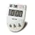 Salter Big Time Electronic Timer