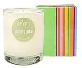 Review Ergo  / Ergo Monkey Grass