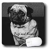 Dogs Pug - Pug - Mouse Pads
