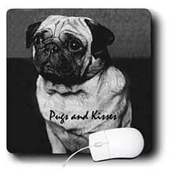 Dogs Pug - Pug - Mouse Pads