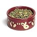 Pet Supplies : Ceramic Feeder with Pawprints Rabbits - 4.25 in. diameter