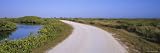 Black Point Wildlife Drive, Merritt Island National Wildlife
Refuge, Titusville, Florida, USA Photographic Poster Print by
Panoramic Images , 8x24