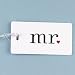 Hortense B. Hewitt Wedding Accessories Mr. Luggage Tag