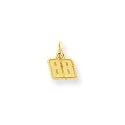 14k Gold NASCAR Dale Earnhardt Jr. #88 Small Charm