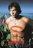 Smallville - Chest - 27x39 Poster