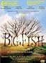 Big Fish - A Tim Burton Masterpiece