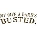 My Give A Damn's Busted T-shirt, Hilarious T-shirts, Funny shirts, X-Large, Lt Blue