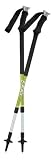 LEKI Trail Classic AirERGO Long Poles (Pair)
