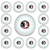 Florida State Seminoles Golf Ball Pack (1 Dozen)