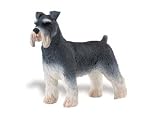 Safari: Schnauzer