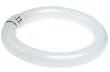 Flowtron 30W BF-180 Circline UV Black Light Replacement Bulb
