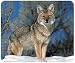 JCI - Mouse Pad - Coyote