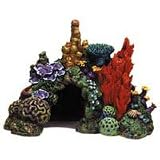 Caribbean Living Reef - Large - 12 in. x 8 12 in. x 9 in.