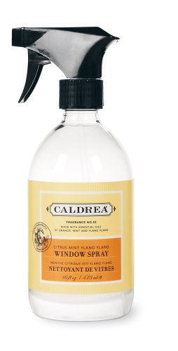 Caldrea Window Spray, Citrus Mint Ylang Ylang, 16-Ounce Bottles (Pack of 6) by Caldrea
