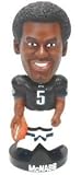 Philadelphia Eagles Donovan McNabb Forever Collectibles Knucklehead