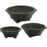 Happy Bonsai Octagon Zisha Pot set of 3