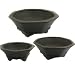 Happy Bonsai Octagon Zisha Pot (set of 3)