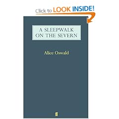 A Sleepwalk on the Severn