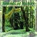 Music : Sounds Of Nature: Rainforest