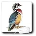 Birds - Wooden Duck - Mouse Pads