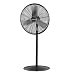 Tools & Hardware : ACE Hardware-LAKEWOOD 8 HV30PBCN PEDESTAL FAN 30"