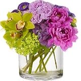 Carnation - Crescendo