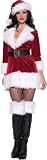 Sexy Secret Santa Costume