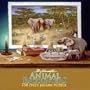 Animal Encounters Puzzle - Visitors by Candlelight - 750 Piece