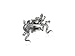 Cool Salamander Gecko Silver Cufflinks with Presentation Box