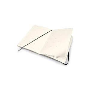 Moleskine Monthly Notebook Diary/Planner, Large, Black: Agenda-carnet Mensuel