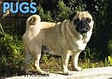 Pugs (For the Love of)