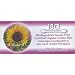 Organic Essentials 100% Pure Organic Cotton Non GMO Biodegradable Cotton Swabs 180 count