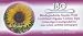 Organic Essentials Organic Cotton Swabs 180/Box