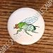 Bugs Insects Fruit Fly Drawer Pulls Knobs