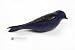 Heath Outdoor Products Deluxe Painted Purple Martin Decoy w/Mount #PMD-1
