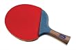 Halex 2.0 Pro Series Silver Typhoon Table Tennis Paddle
